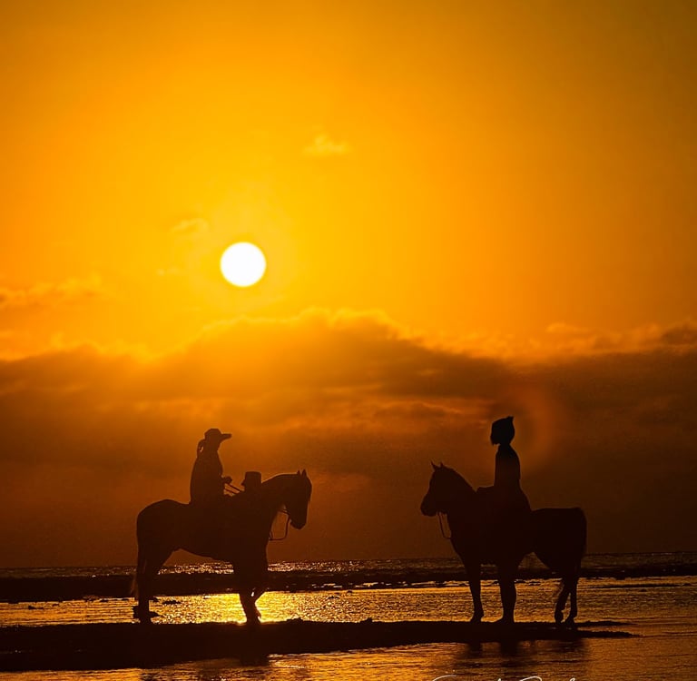 Unforgettable Gili Islands sunset views with an iconic beach horse, ideal for post-dive relaxation.