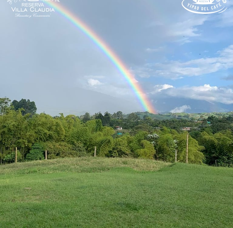 sitios para visitar en pereira