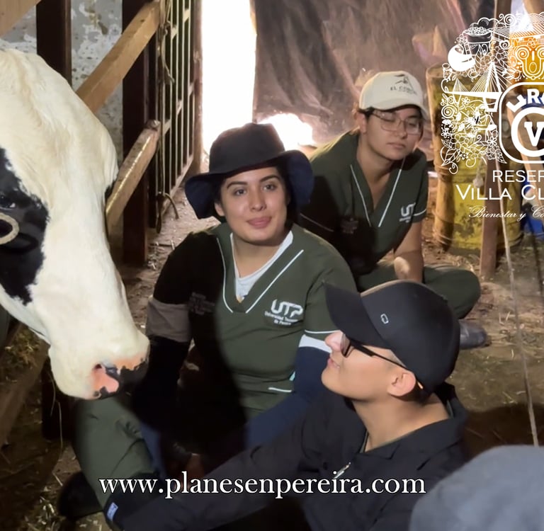 fincas cafeteras pereira