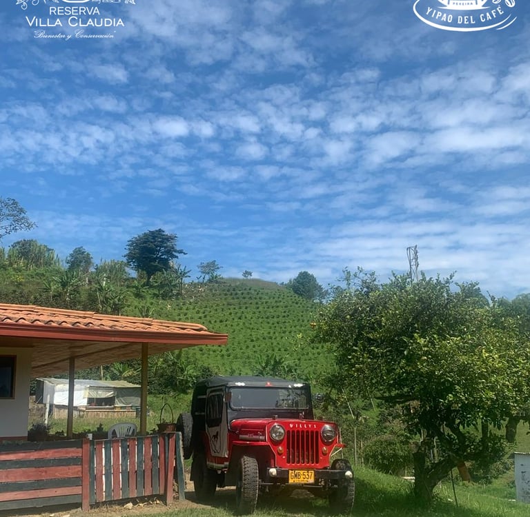 tours por pereira