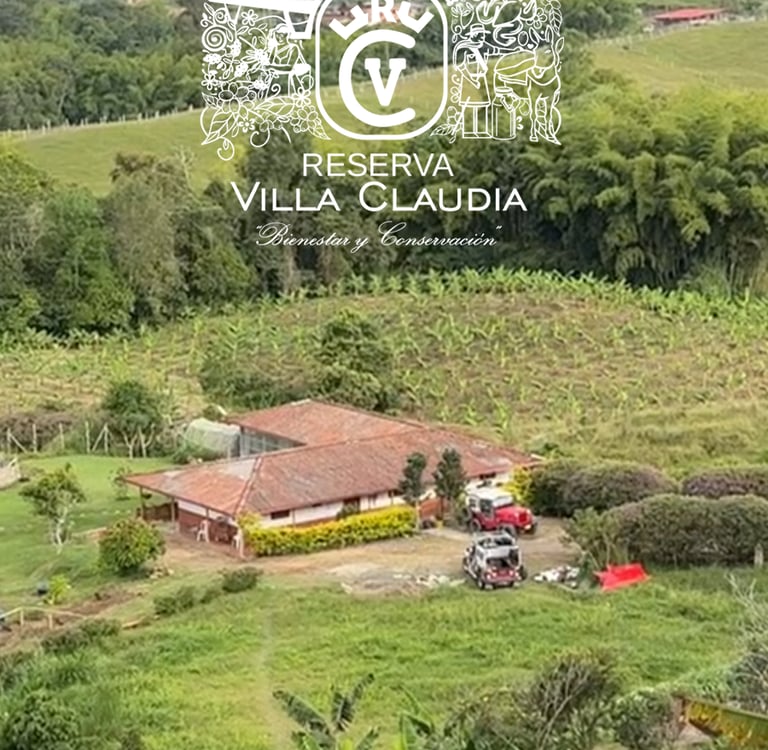 lugares turísticos de pereira
