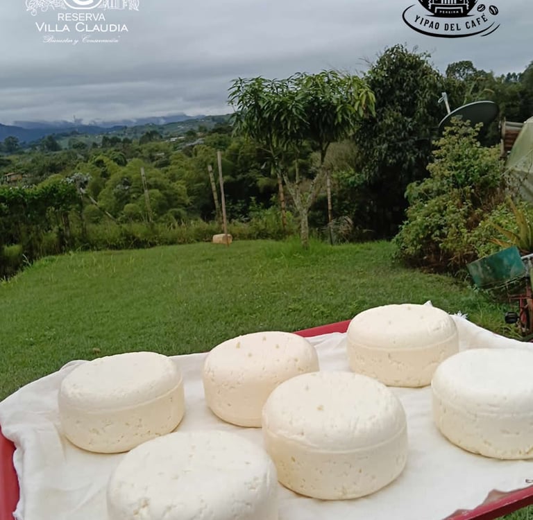 qué lugares conocer en pereira