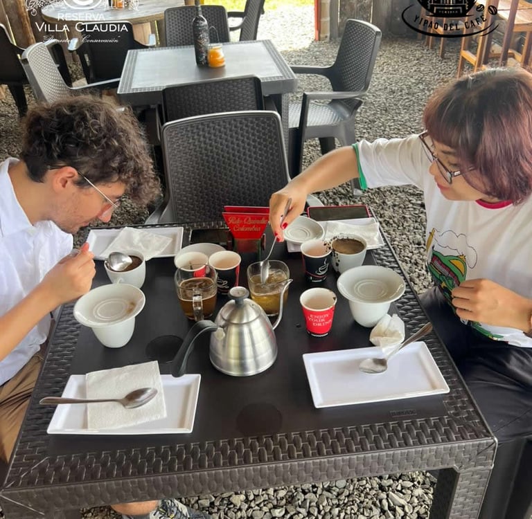cultura del café pereira