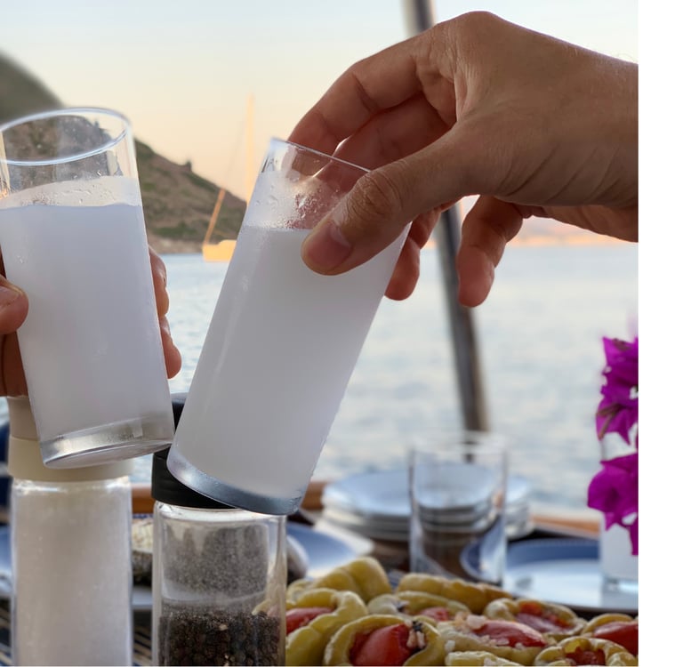 two people toasting Turkish Rakı glasses