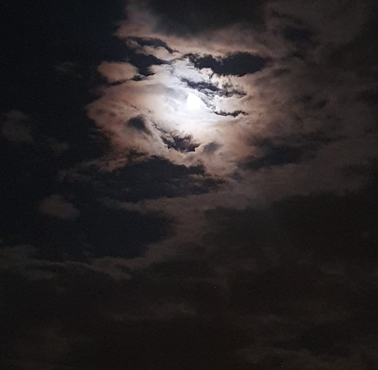 a moon light over Lake Köyceğiz