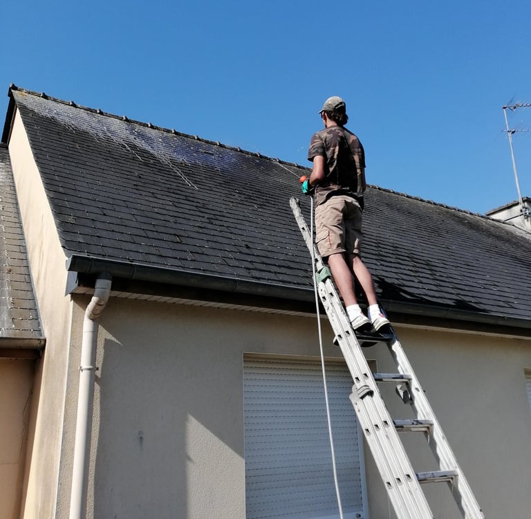 Traitement antimousse toiture 35