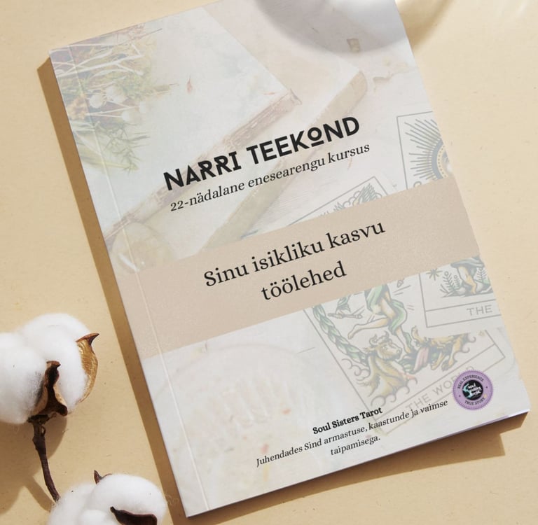 Narri teekond: Eneseteadlikkuse kursus