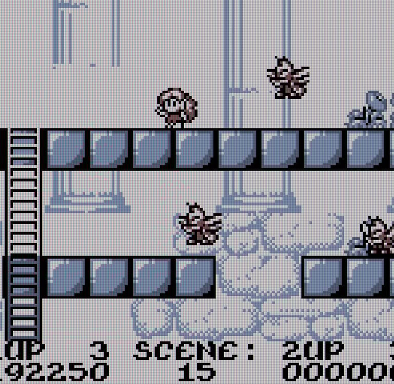 Rodland Game Boy: Rit v. The Bees