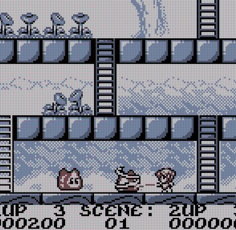 Rodland Game Boy Tam