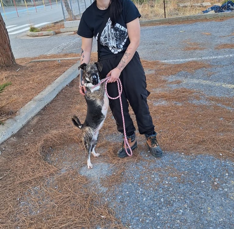 Me von Randalehunde Leipzig bei der Tierschutzarbeit in Griechenland