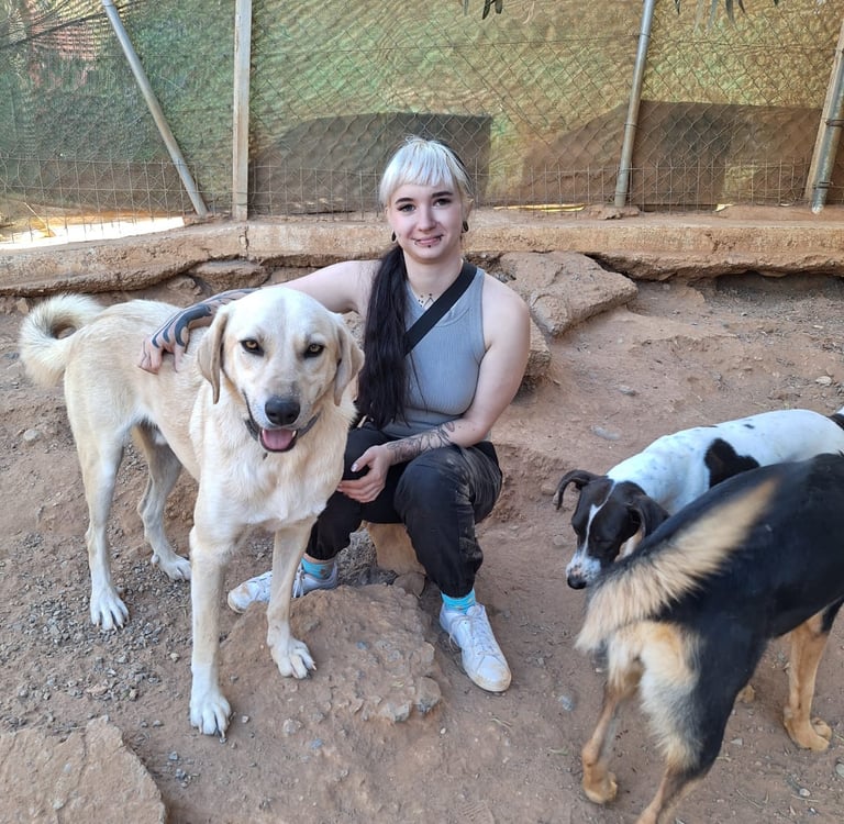 Mel mit Tierschutzhund