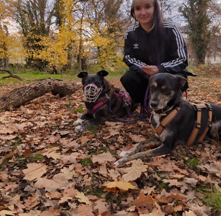 Mel mit 2 Hunden beim Social Walk in Leipzig, ein Hund trägt einen Maulkorb