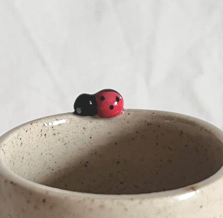 La coccinelle de la collection Morgane