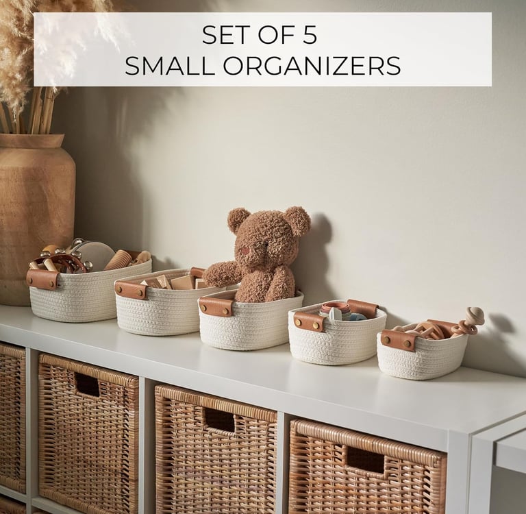 A collection of five small organizers in various colors, designed for efficient storage,organize