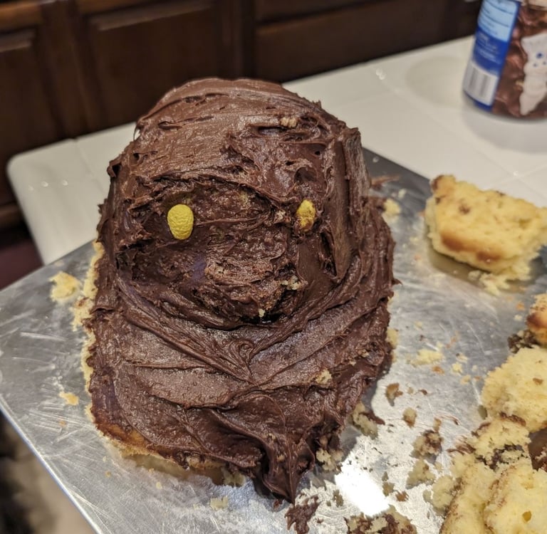 a cake with chocolate frosting and chocolate frosting