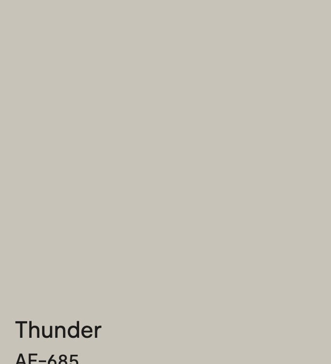 Benjamin Moore Thunder AF-685 paint swatch, a neutral warm greige interior wall color.