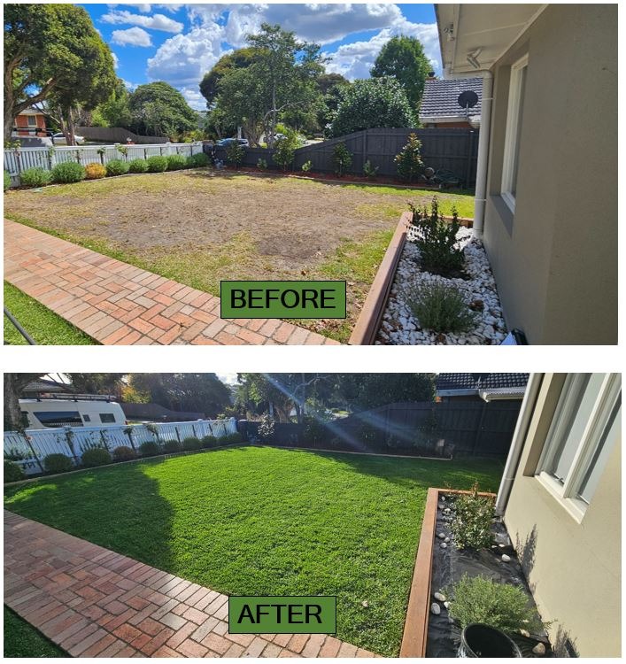 Garden renovation, Landscaping completely newly laid buffalo lawn before & after