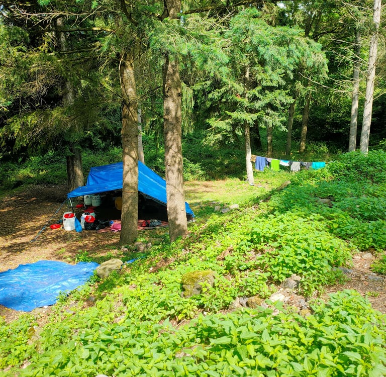 bivouac tente camping sauvage allier canoë kayak allier