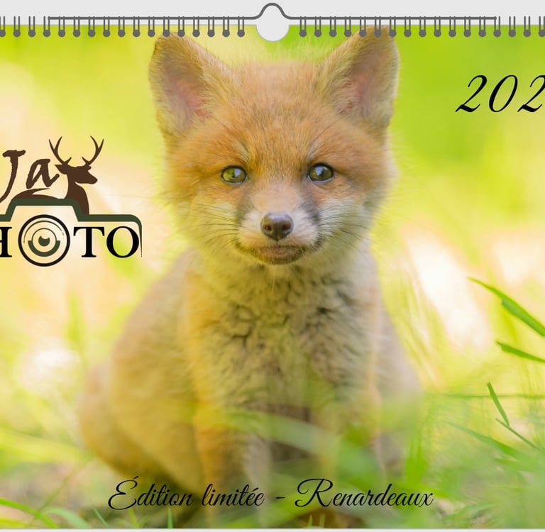 Calendrier 2026 JayPhoto, couverture renardeau — format 20×30