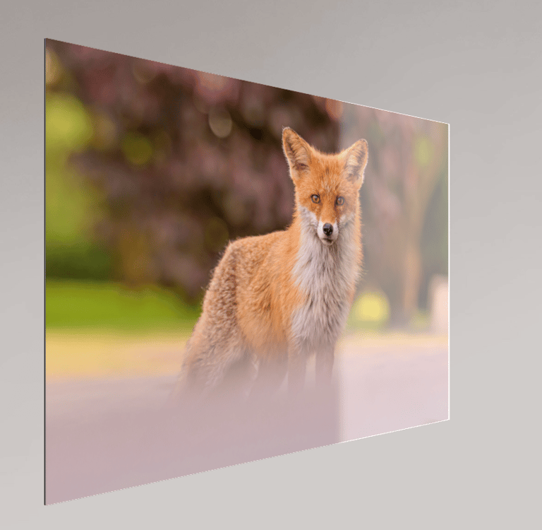 Gallery Print sous plexi + aluminium — exemple de rendu avec profondeur