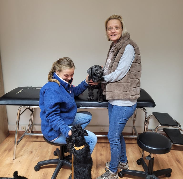 Les Diamants chez leur ostéopathe