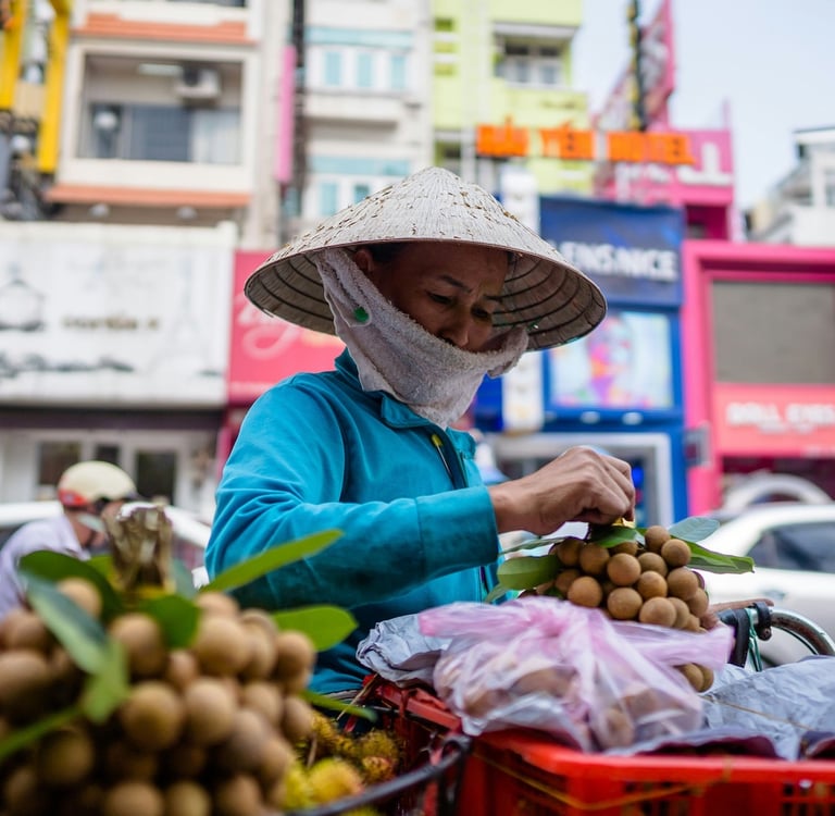 Local woman wearing a conical hat packing fruit on a sunny day in Vietnam, showing everyday life.