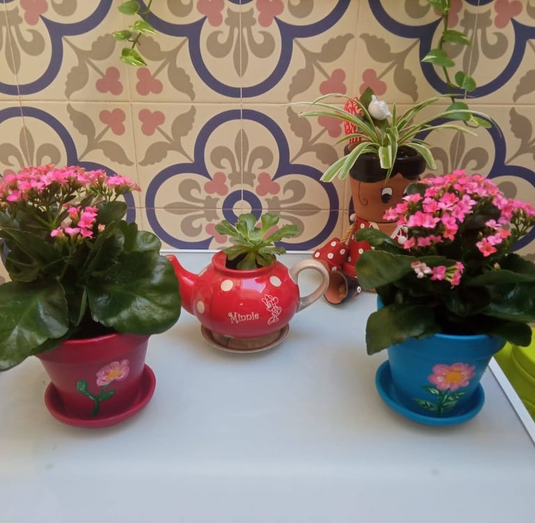 Floraterapia SomosBarrio