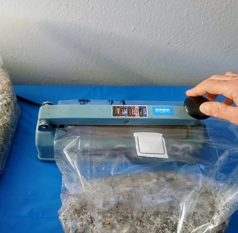 a small impulse sealer for sealing fruiting blocks of gourmet mushrooms