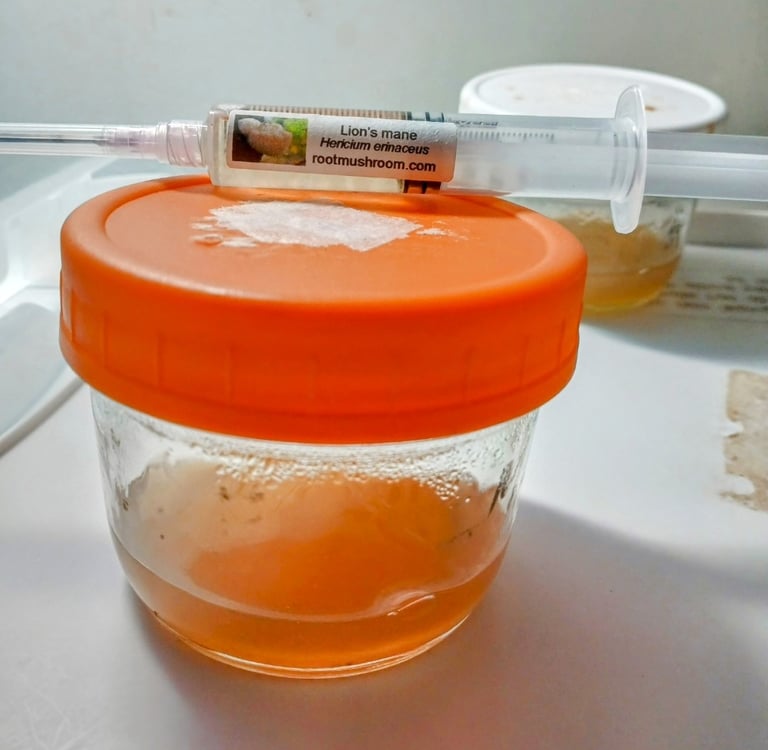 Liquid culture syringe resting on top of a no-pour agar jar, ready for inoculation in a gourmet mush