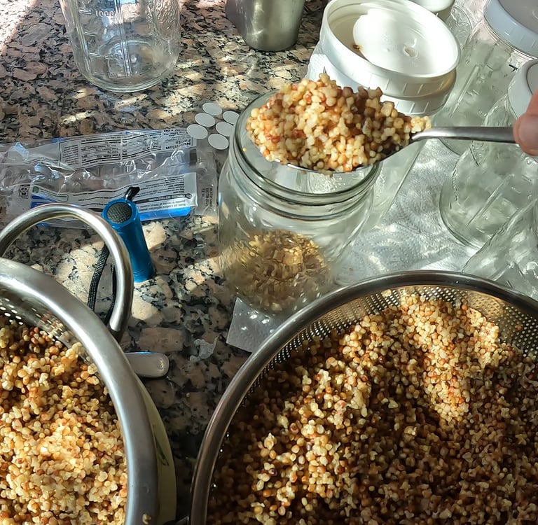 loading mason jars with wild bird seed