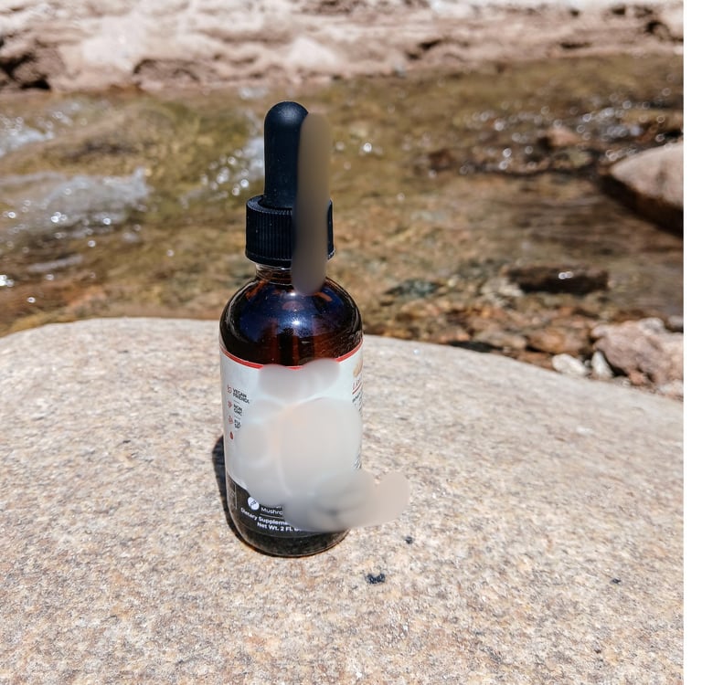 mushroom tincture bottle sitting on a rock