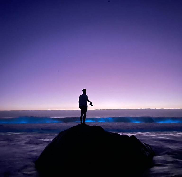 a person standing on a rock in the ocean