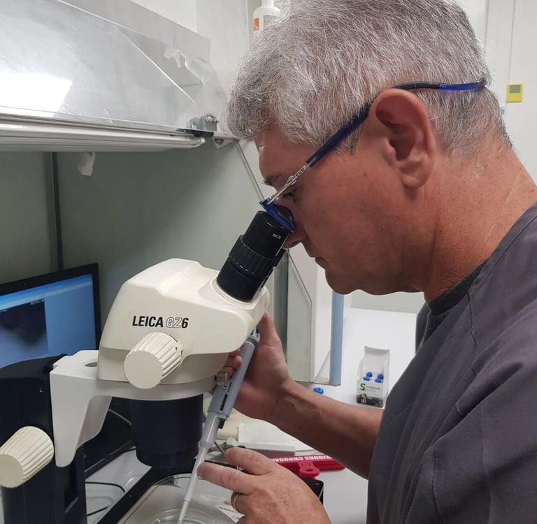 Vitrification d'un embryon équin
