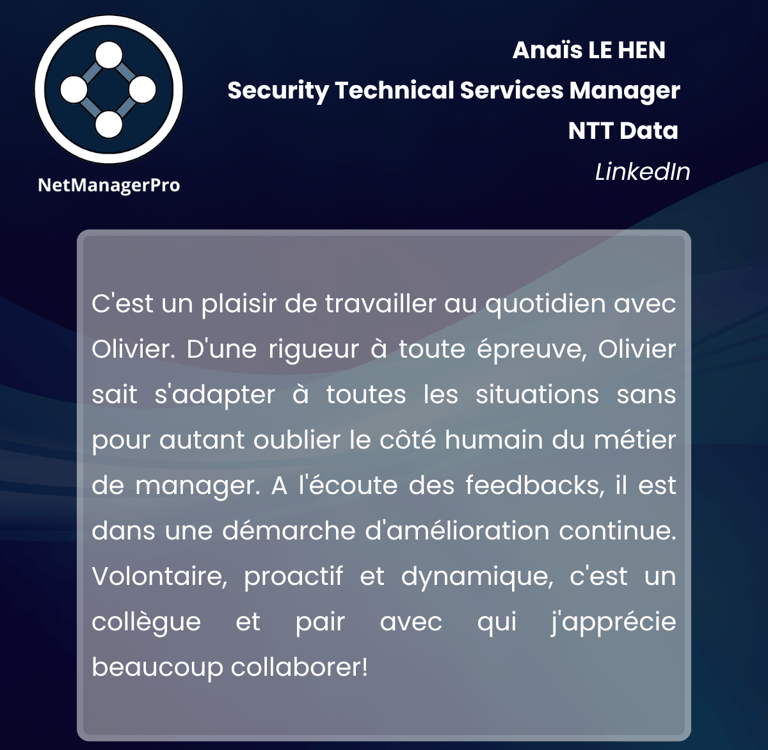 audit réseau, sécurité IT, infrastructures IT, leadership en IT, gestion d'équipe NTT