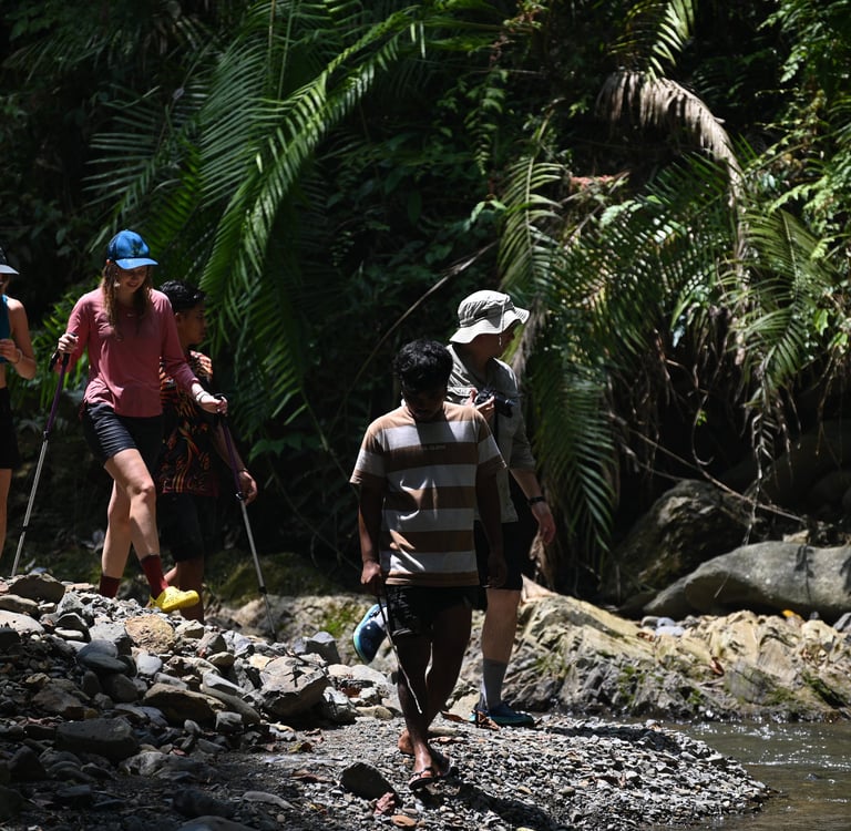 Sumatra Trekking Orangutan