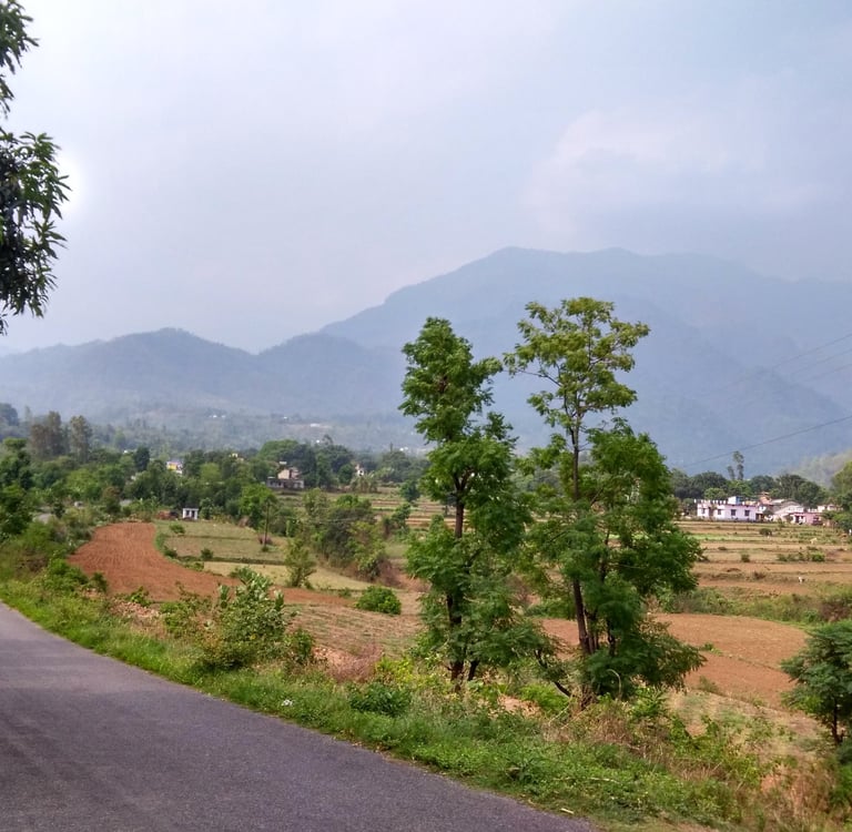Land and property investment opportunities in Kotabagh near Jim Corbett