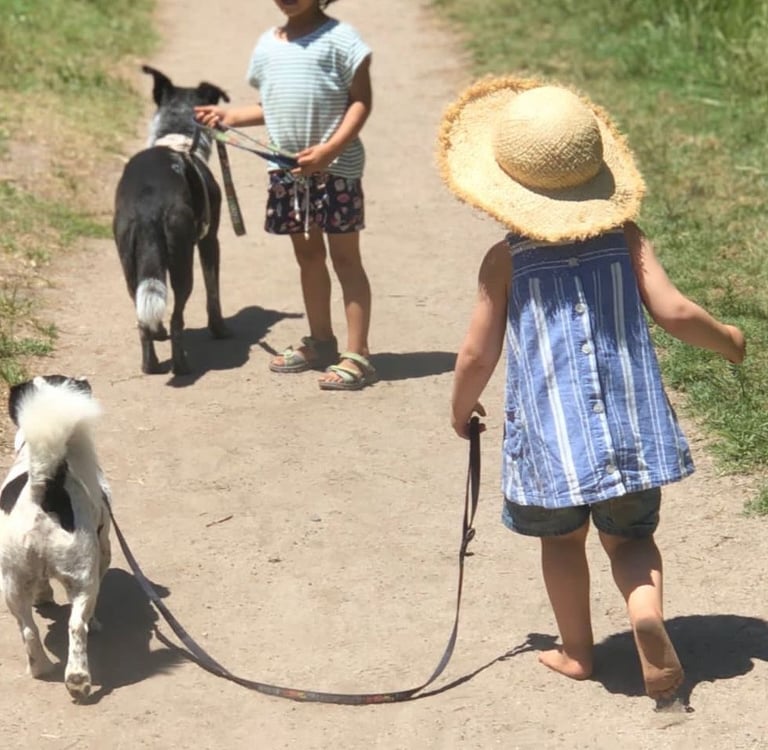 Dogs and Kids