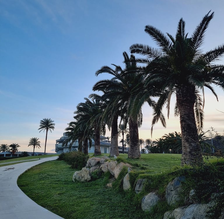 Luxury tropical resort landscape featuring palm trees, a green lawn, and a walkway at sunset.