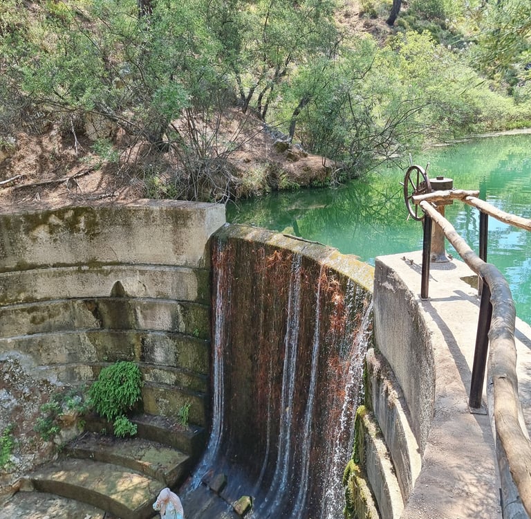 A small concrete dam and waterfall flowing into a turquoise pond surrounded by lush green trees.