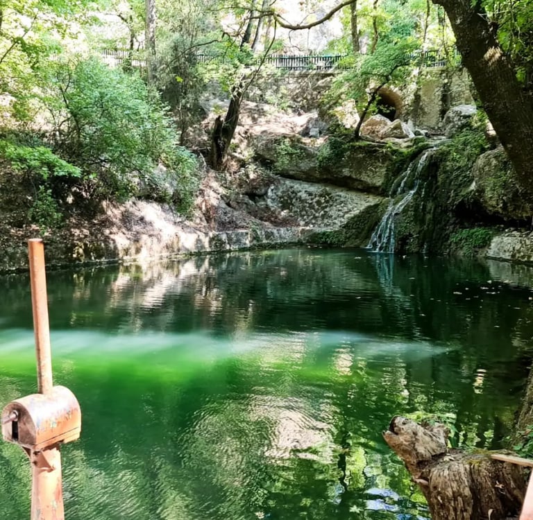 Serene green pond with a small waterfall surrounded by lush trees in a natural forest park.