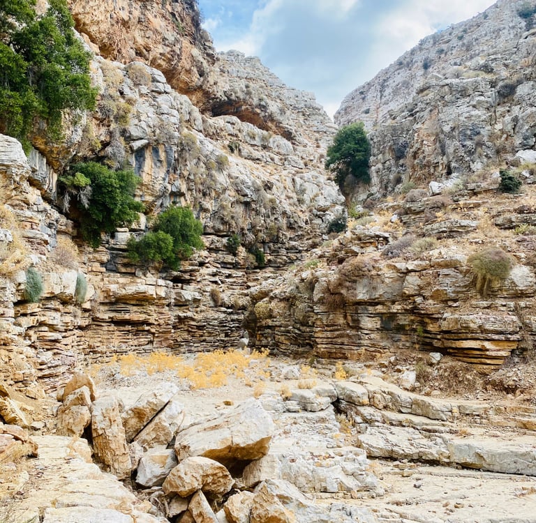a mountain scene with a mountain range in the background