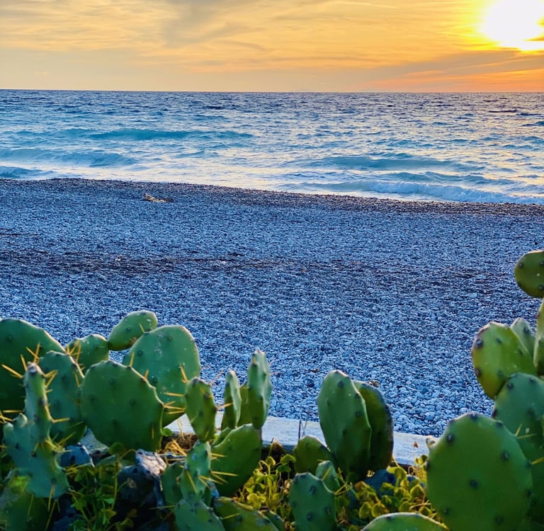 a cactus planter with a sunset in the background