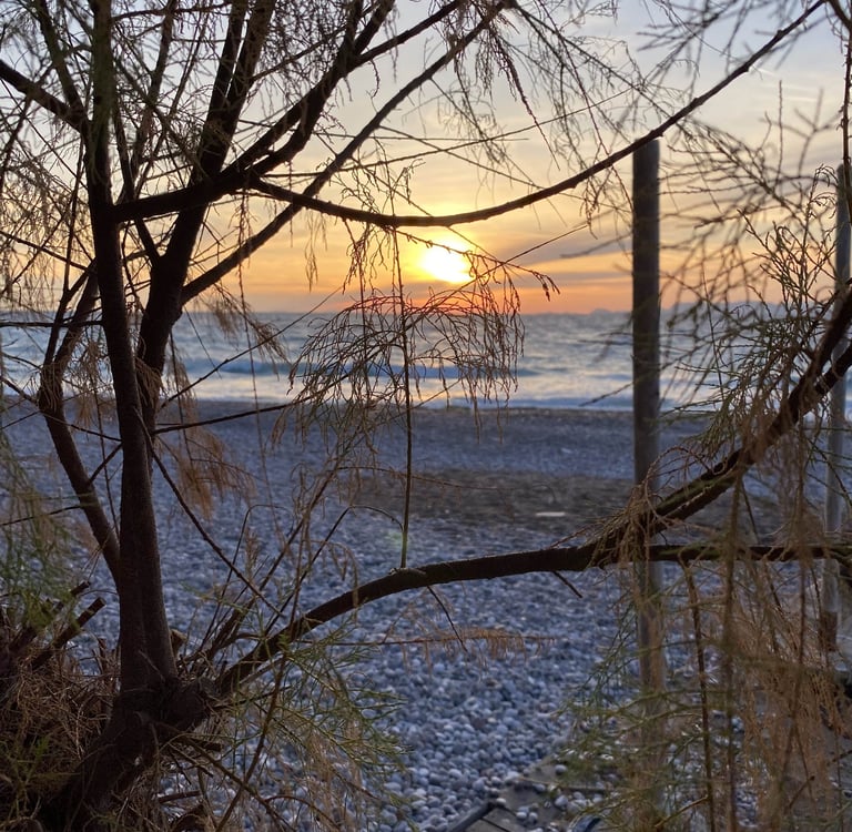 sunset in rhodes greece and some trees and beach on the background