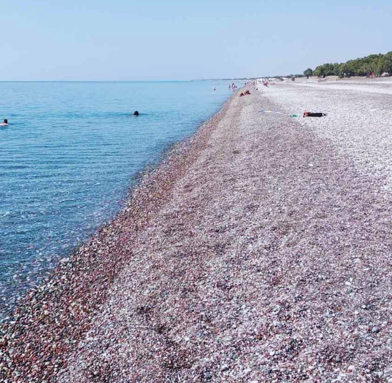 a beach with people swimming in the water