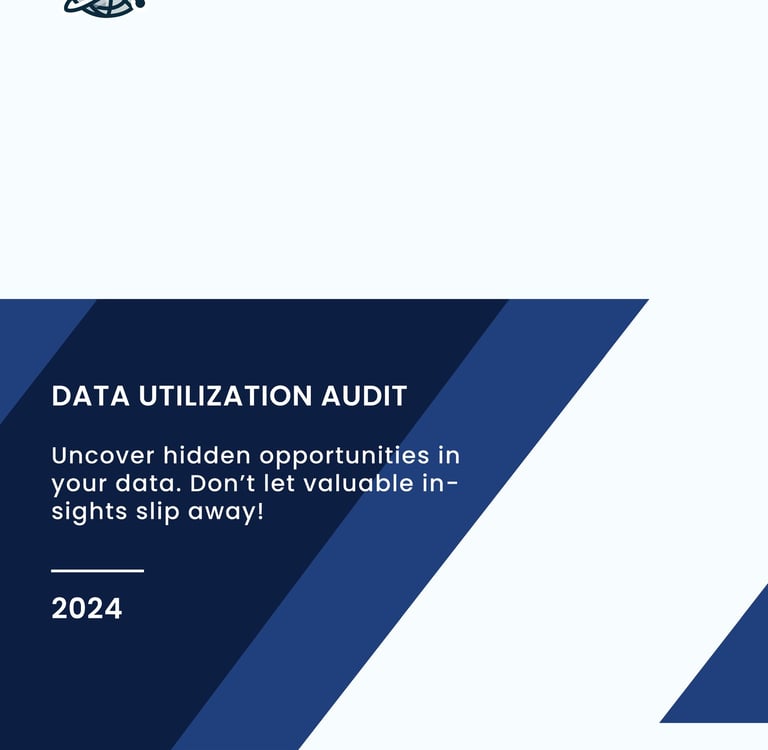 data utilization audit service brochure