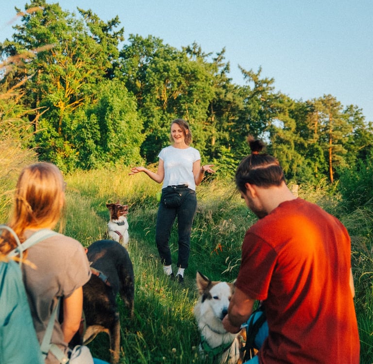 Gruppentraining mit Mensch-Hund-Teams – gewaltfreies Hundetraining bei Takoda