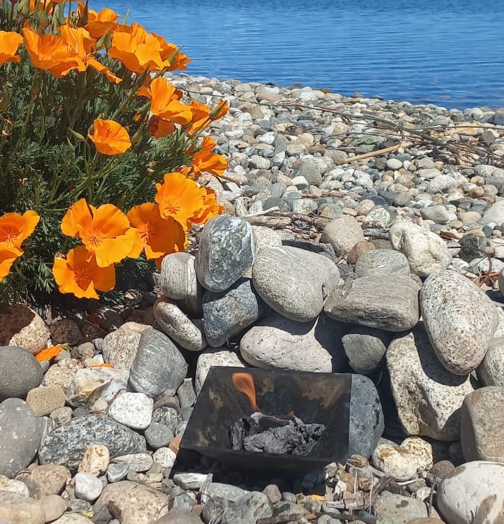 fuego homa frente a lago nahuel huapi bariloche argentina