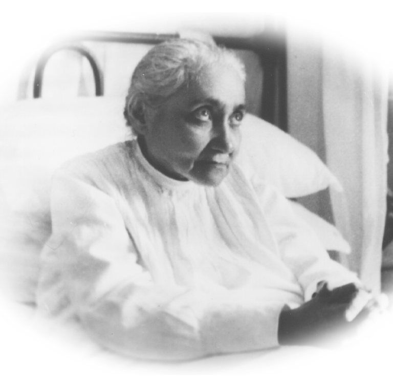 flip over vertical axis