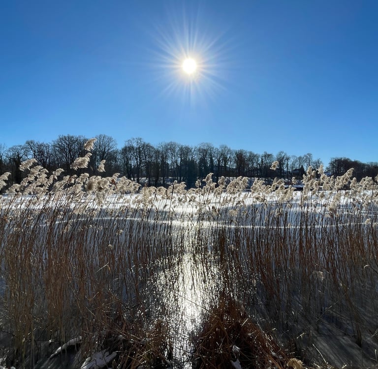 Werde still und du wirst sehen