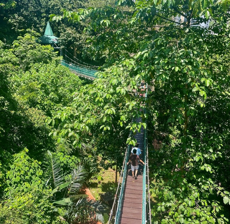 Las deszczowy w Kuala Lumpur